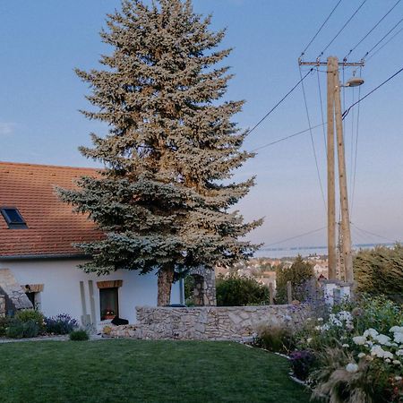 شقة Panorama Vine House بالاتونفوريد المظهر الخارجي الصورة